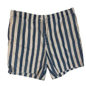 PacSun Blue and White Striped Shorts Waist 36”